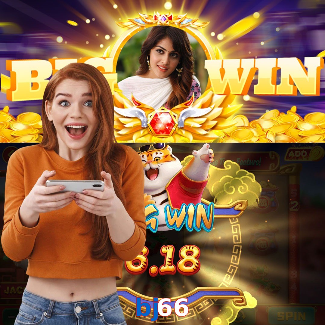 bj66