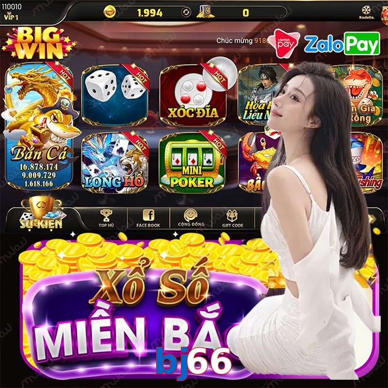 bj66