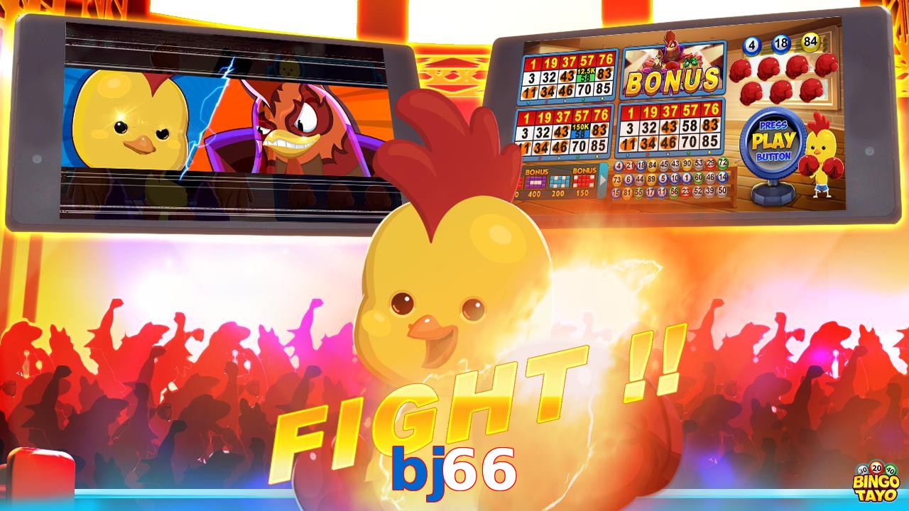bj66