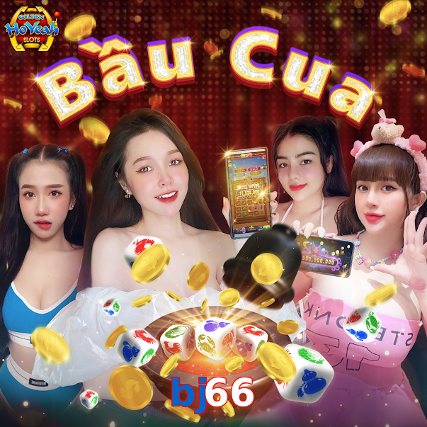 bj66