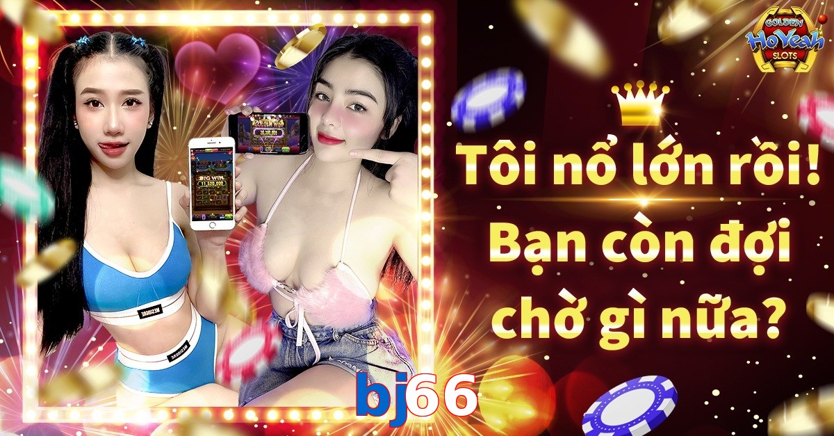 bj66