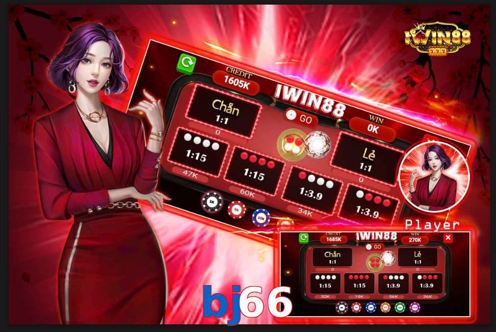 bj66