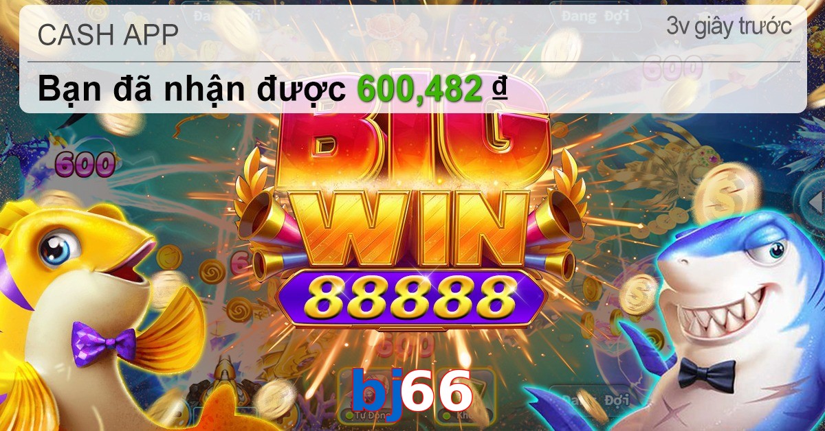bj66