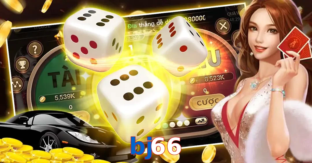 bj66