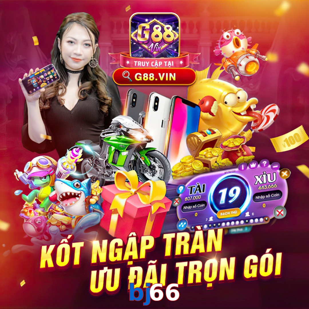 bj66