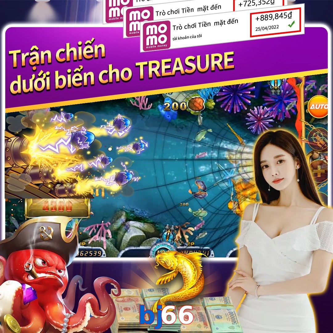 bj66