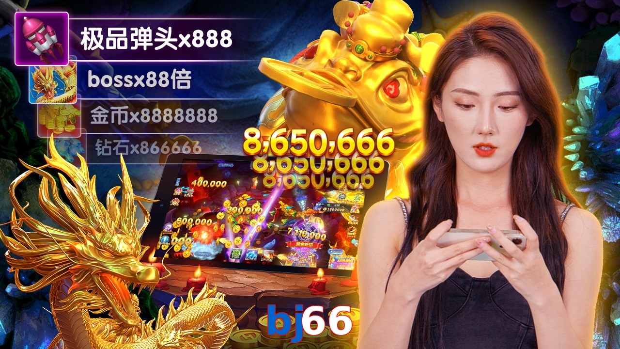 bj66