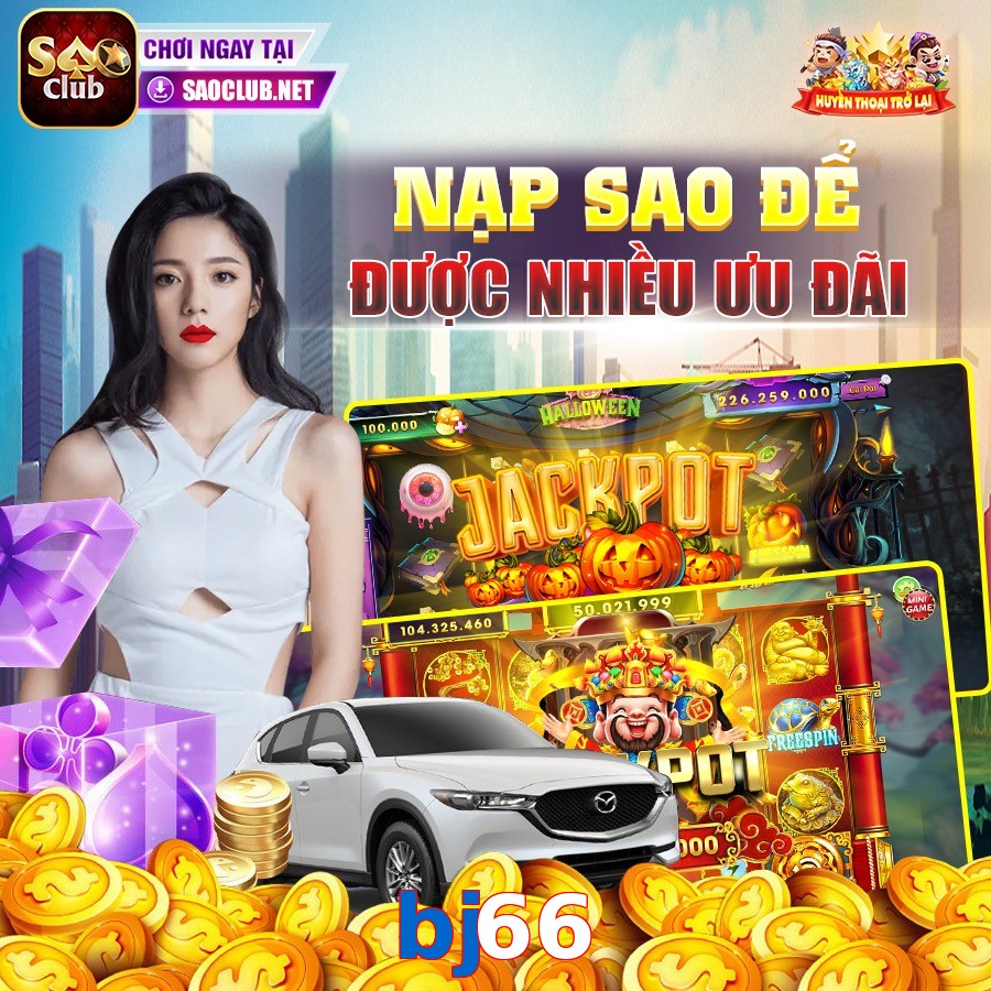 bj66